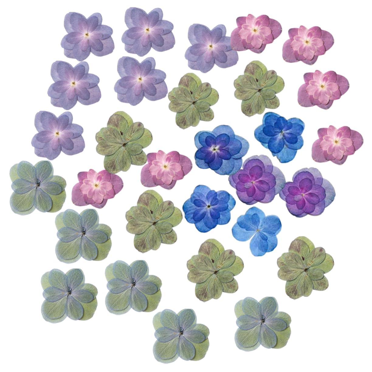 Zerodeko 5 Sätze Gepresste Ausstecher Mit Prägung Prägeausstecher Gefälschte Blumen Getrocknete Blumenarrangements Kleine Trockenblumen Für Harz Blumen Für Harzformen 30 Stück * 5