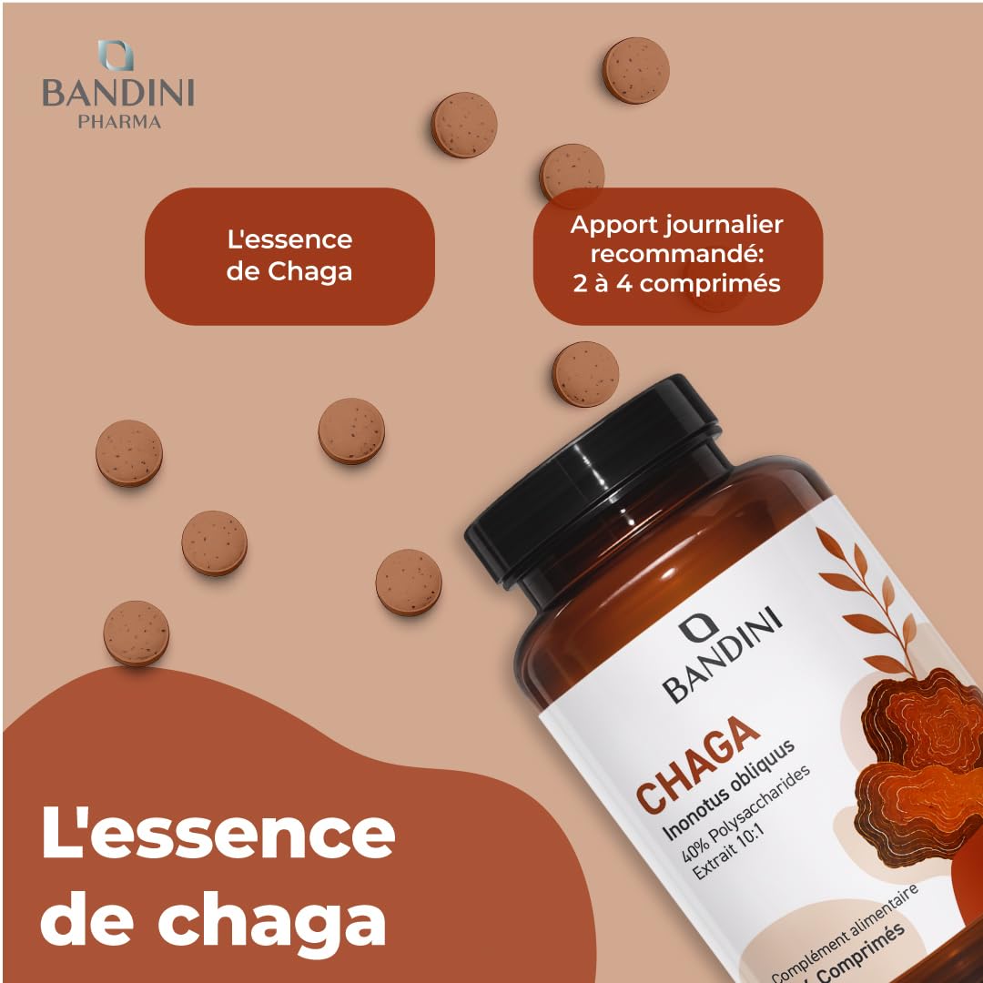 Bandini® Chaga champignon 366 comprimés | Polypore oblique - Inonotus Obliquus | Complément riche en antioxydants et polyphénols | Pour l'équilibre quotidien | Jusqu'à 1000mg par dose - Chaga Mushroom
