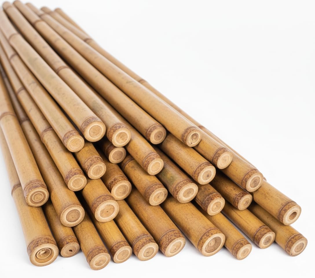 Strong Heavy Duty Bamboo Canes Professional for Plant Support - Multiple Lengths 2ft - 8ft Garden Stakes, Durable Large Garden Canes Sturdy & Natural Bamboo Sticks for Plants Size (3ft 10, 12-14mm)