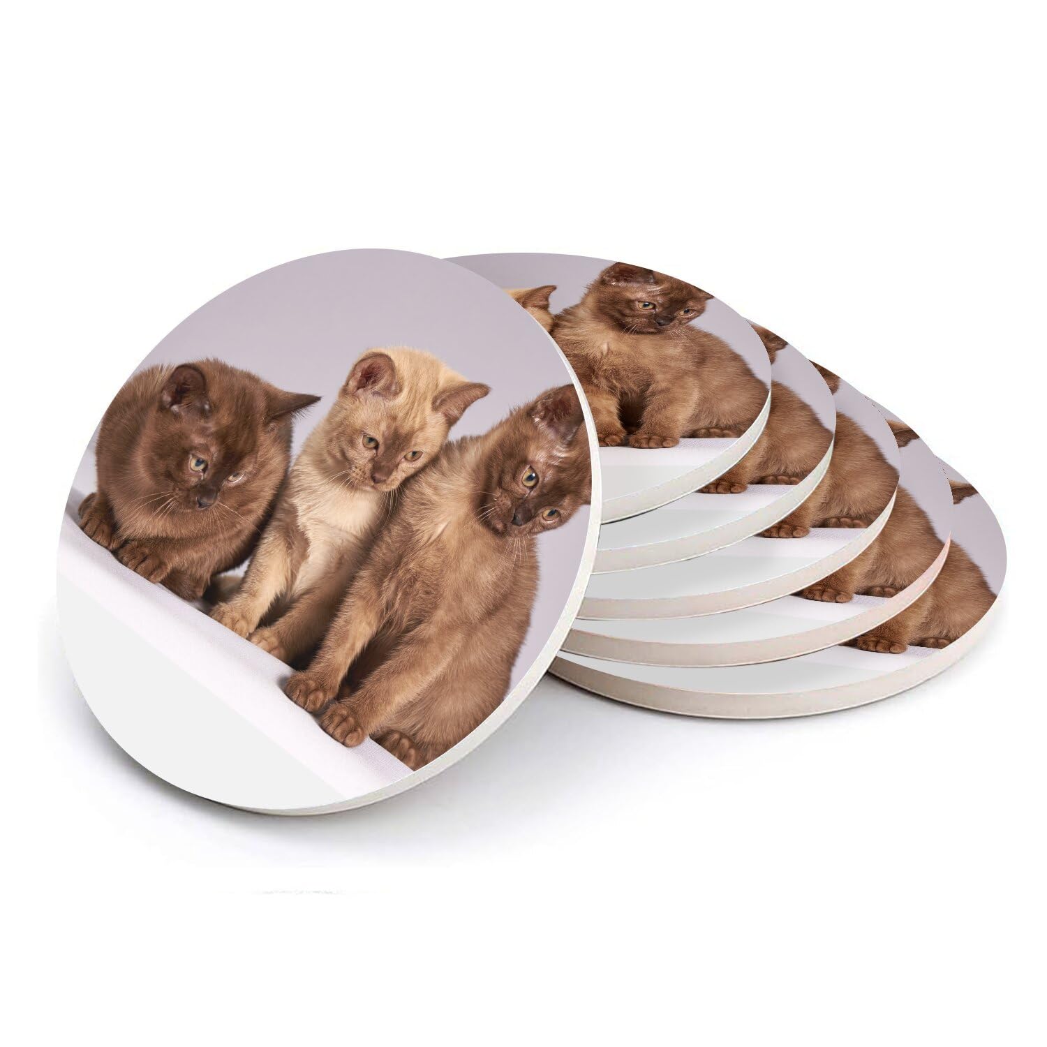 Sottobicchiere rotondo in ceramica – Bebe gatti siamesi persiani a pelo lungo gatto trio carino, confezione da 6 (108 x 108 mm)