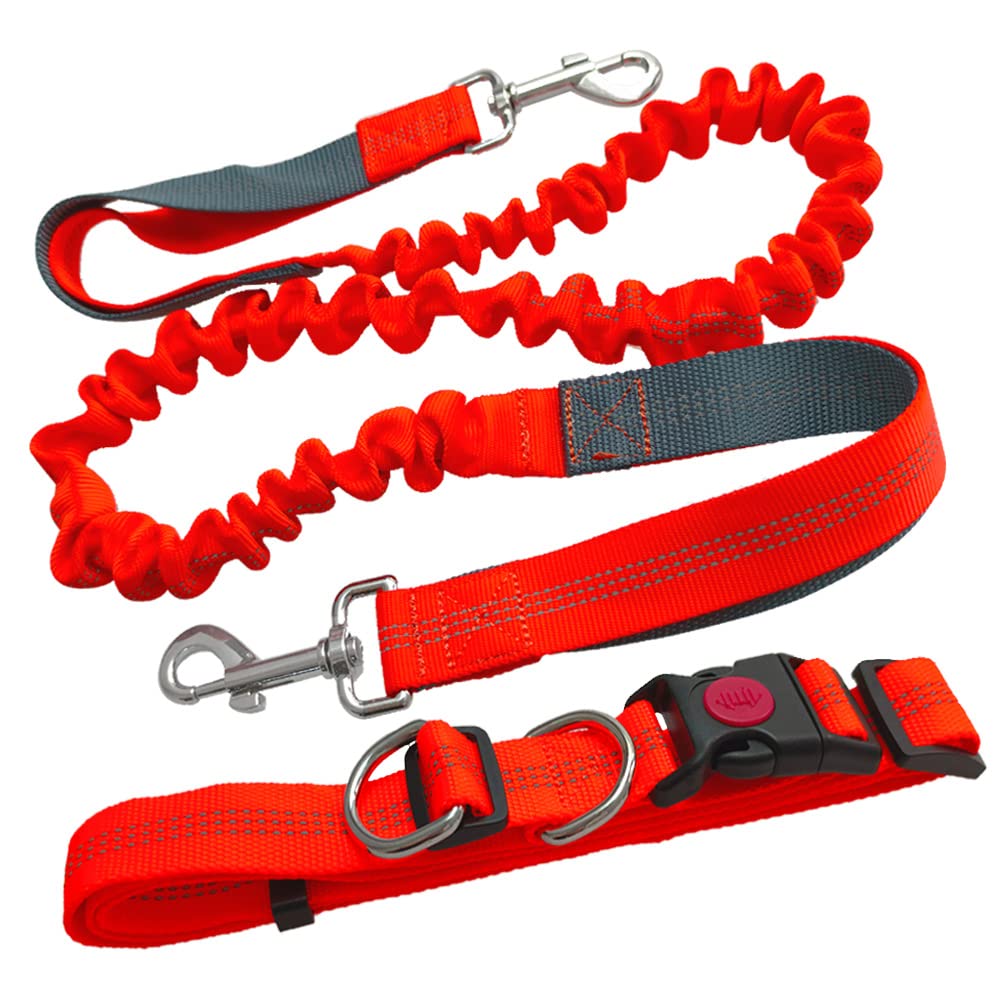 Aiqeer Correa Perro Manos Libres Naranja, Cinturón de Cintura Ajustable y Correa Elástica Retráctil, Correa Perros Trotar con Costuras Reflectantes (Manija Gris)