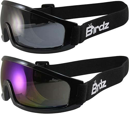 Miniatura 1 de Birdz Robin Sport Skydiving Snowboarding - Gafas de seguridad para montar en motocicleta, espejo azul y lentes ahumados, 2 pares