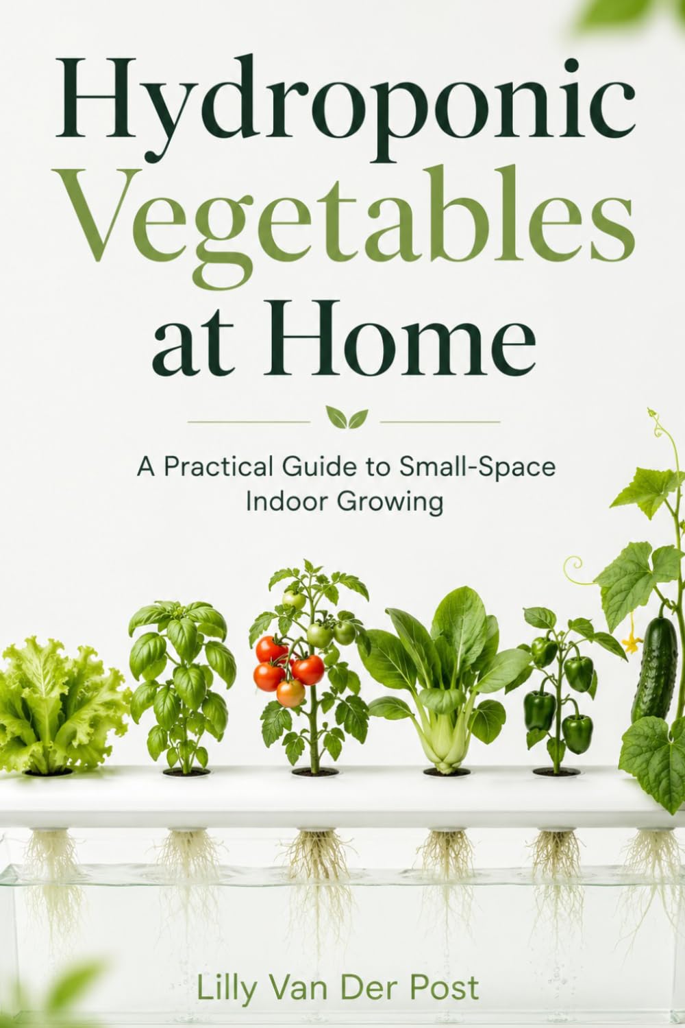 Hydroponic Vegetables at Home: A Practical Guide to Small-Space Indoor Growing