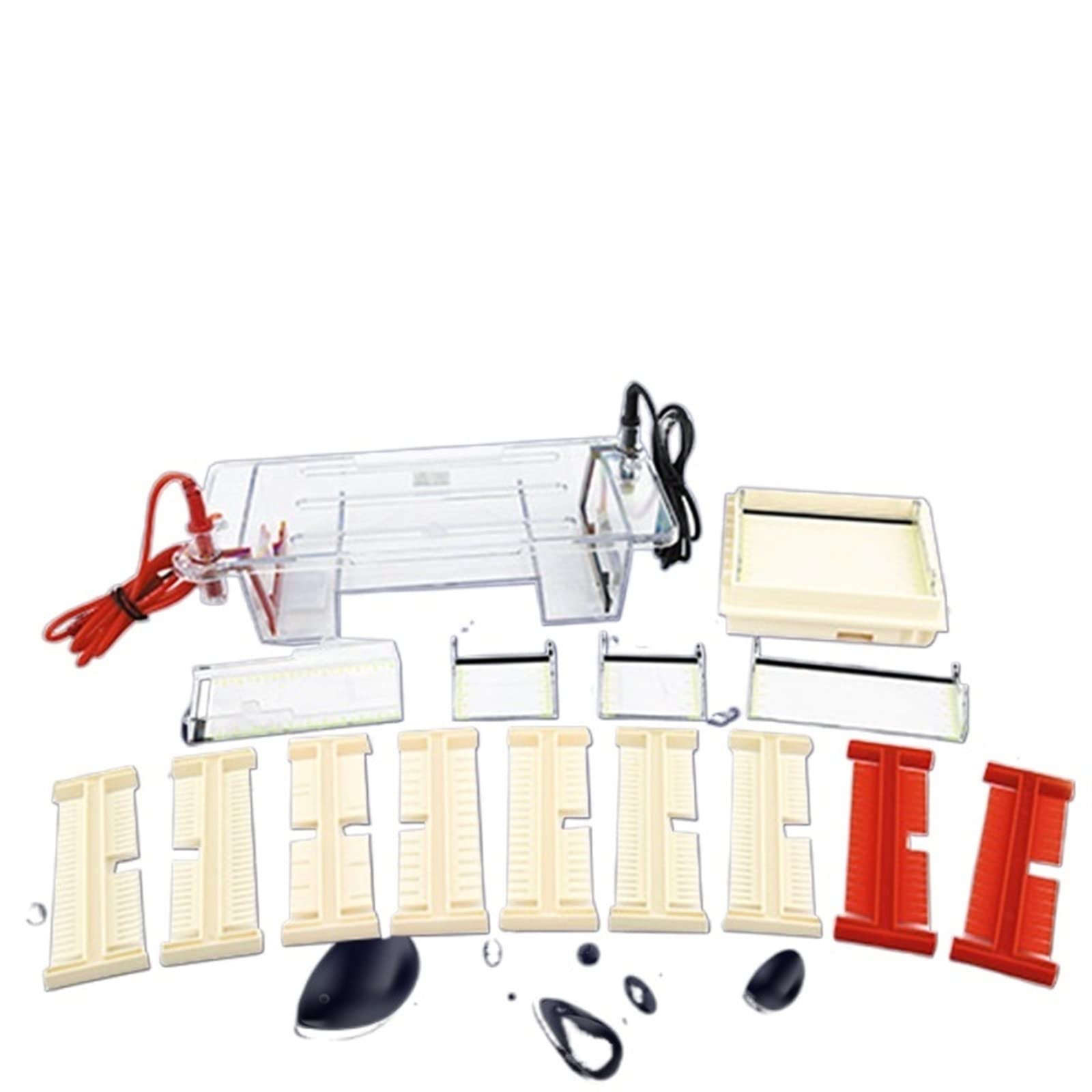Gelelektrophoresesystem, Elektrophoresegerät, Horizontales Agarose-Elektrophoresegerät DYCP-31CN Laborprotein-Gelelektrophoresebehälter für Klassenzimmer und kleine Labore