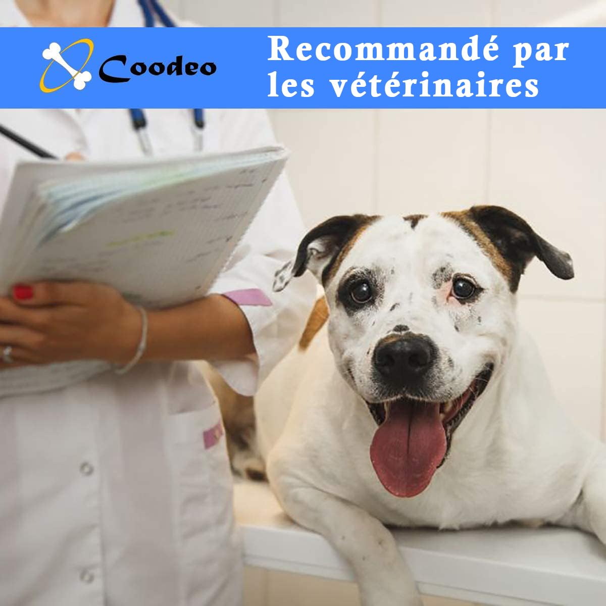 Coodeo Harnais de Levage pour Chien, Sangles Ajustables et Rembourrées, Support Respirant pour Chiens Âgés, Handicapés, Blessures Articulaires, Arthrite, Perte de Stabilité (Gris, XS)