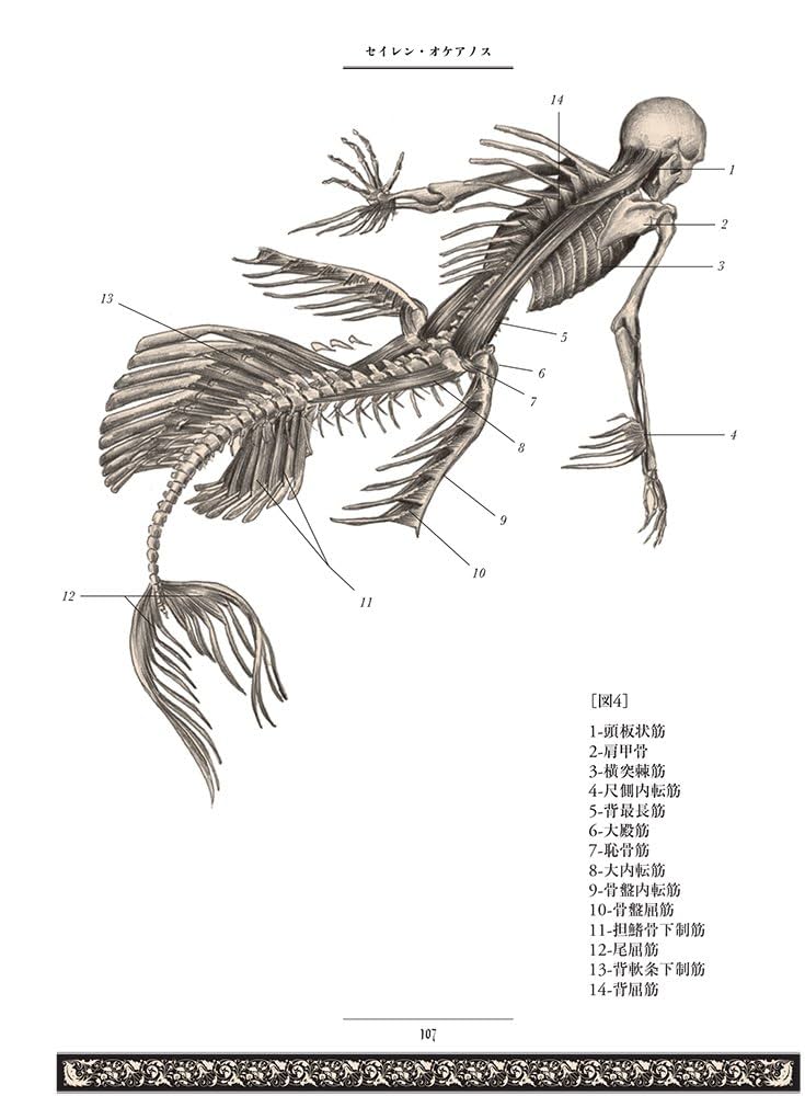 巨大生物解剖図鑑 巨大生物解剖図鑑 | デイヴィッド・デュガン, 窪寺 恒己, 田島