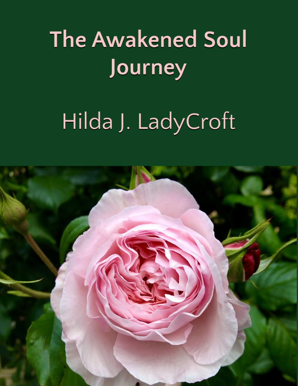 The Awakened Soul Journey: 1