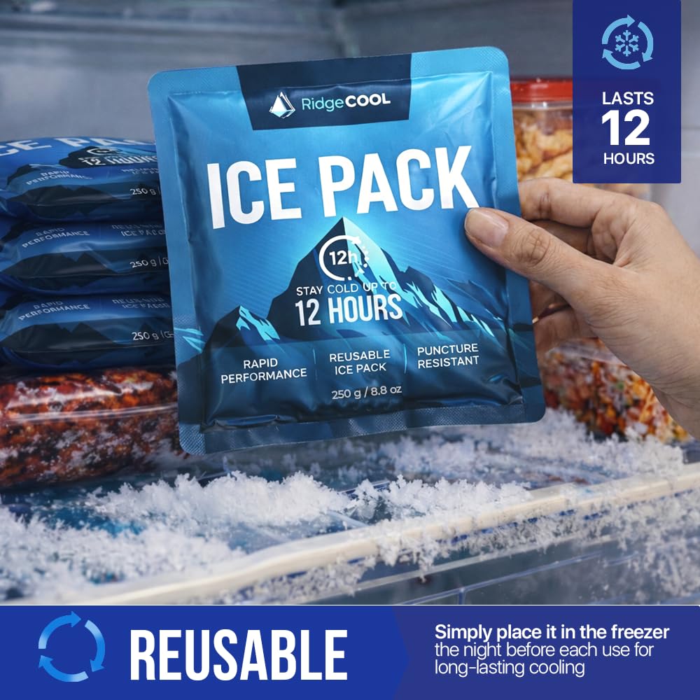 RIDGECOOL 4 Pack Large Reusable Ice Packs for Coolers, Long Lasting Freezer Packs for Cooler Bags and Insulated Totes, Leakproof, BPA-Free, Food Safe - 2