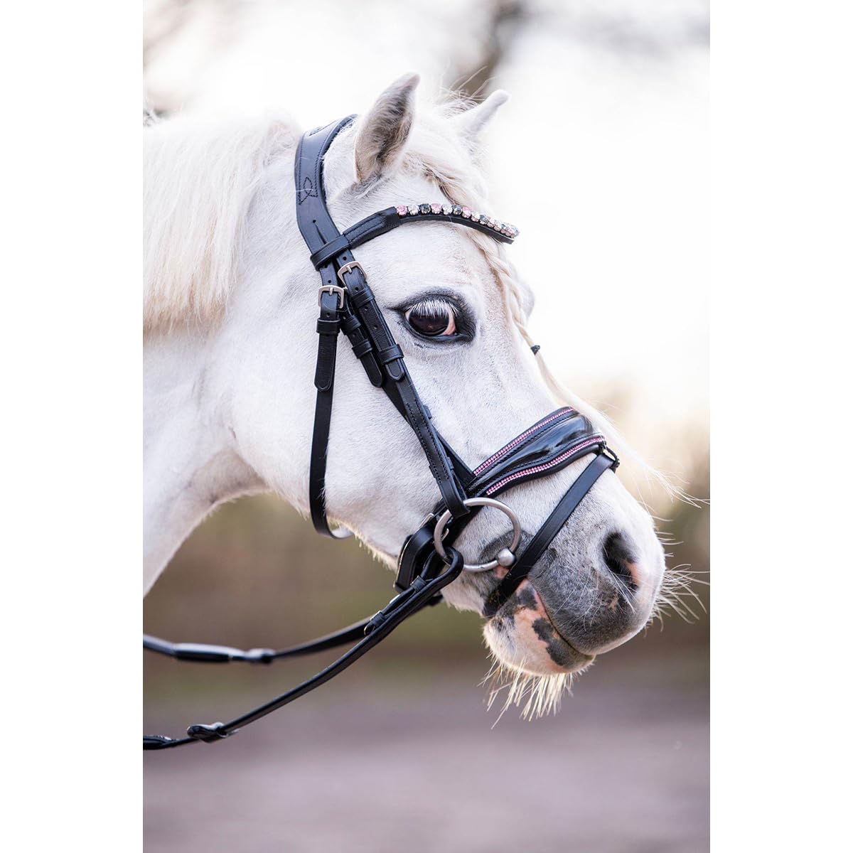 Hb Briglia Showtime Special A-Pony Black-Pink in Size: Pony (EU). - Nero-Rosa - Pony