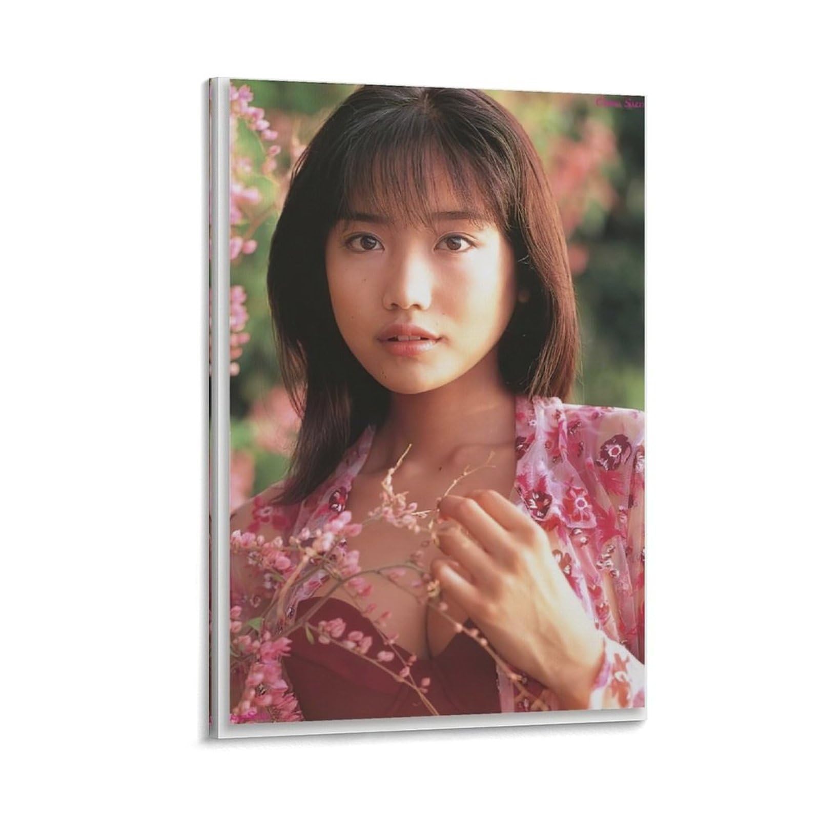 Amazon.co.jp: 佐藤江梨子写真ビキニ写真ポスター3 キャンバスアート