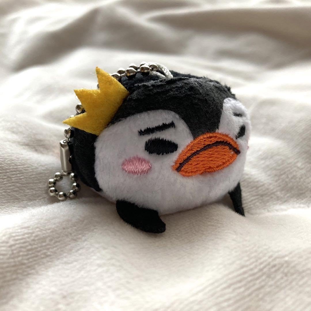 Amazon.co.jp: 2PMジュノ ビーズマスコット キーホルダー ペンペン