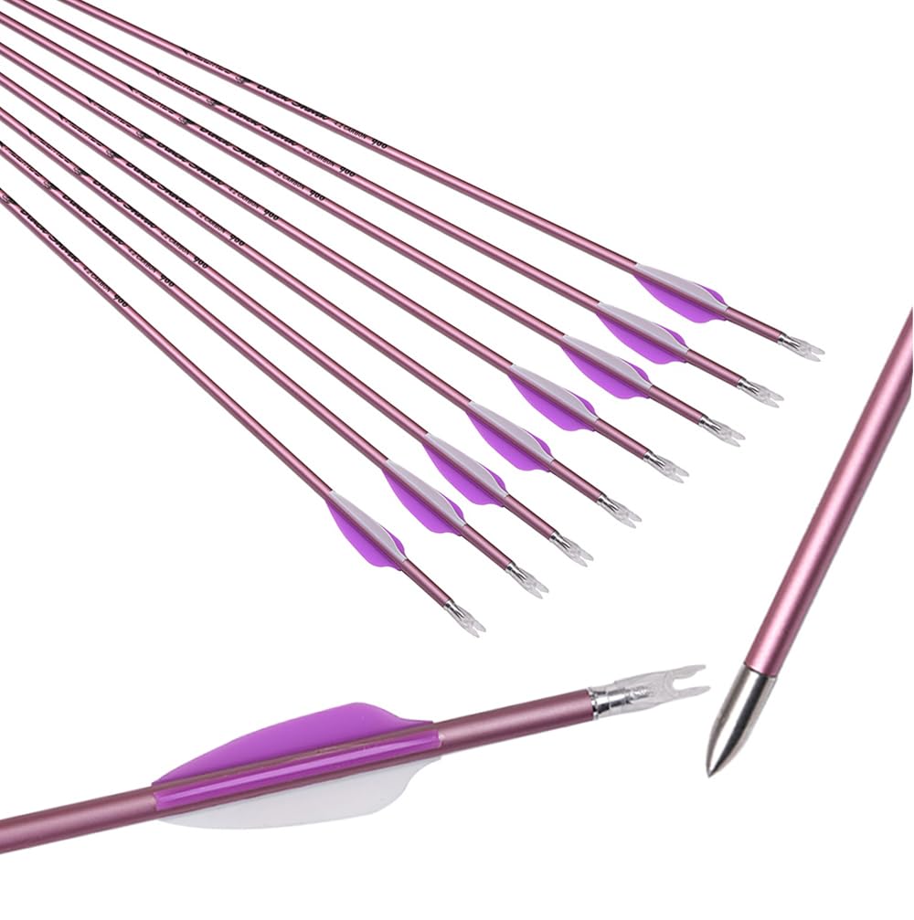 ACCMOS 6 Stück Hellviolette Feder Pfeile ID 4,2 mm Spine 1000 Jagdpfeil 28 Zoll Carbonpfeil, für Bogen & Pfeil Schießen (Spine 1000, 28inch)