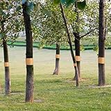 Zoom IMG-1 nastro per alberi 50 m Zoom IMG-1 nastro per alberi 50 m