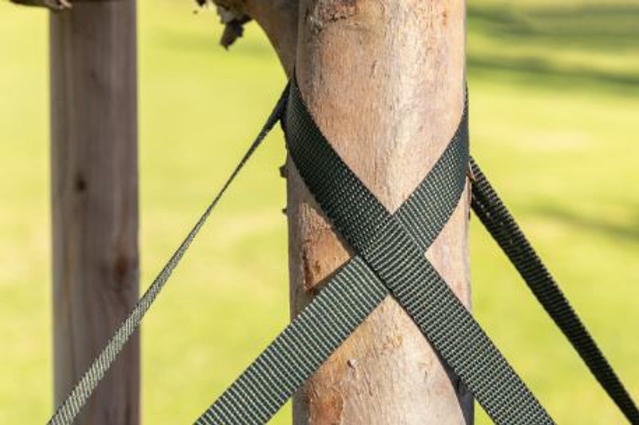 Tree Guy - Correas de amarre para árbol de 100 pies