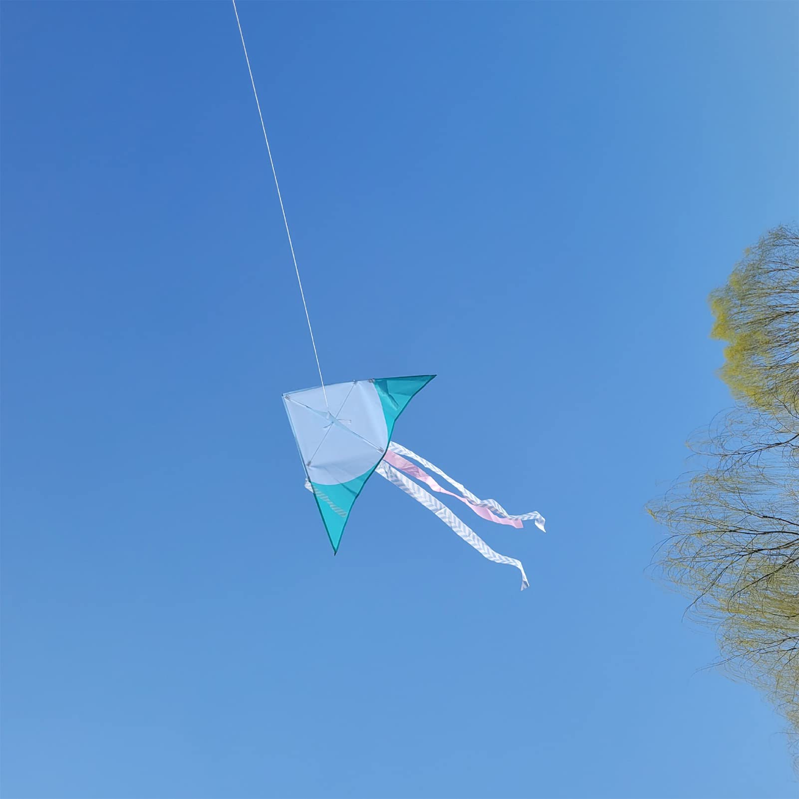Cometa Triangular, Fácil de Volar para Adultos Principiantes, con Plástico de Tela de Fibra Sintética, para Patio de Juegos Al Aire, Playa