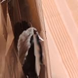 Imagen del cliente, haz clic para abrir la reseña del cliente