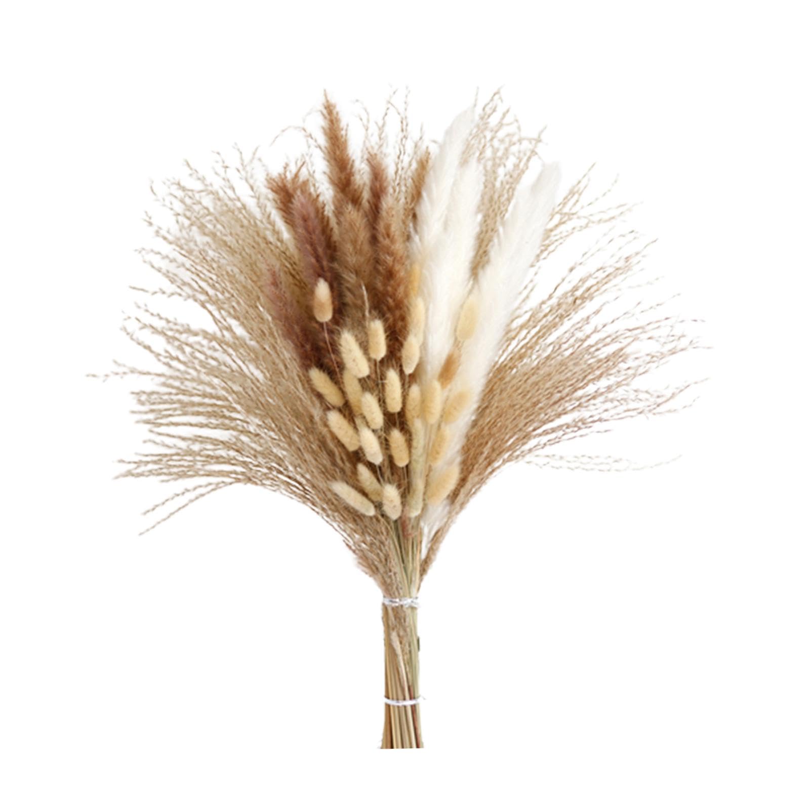 Natural Pampas Grass Bouquet Reed for Desk Photographing Flower Arrangements Style A|Home & Garden | Home D?©cor | Floral D?©cor| Floral D?©cor-image-22