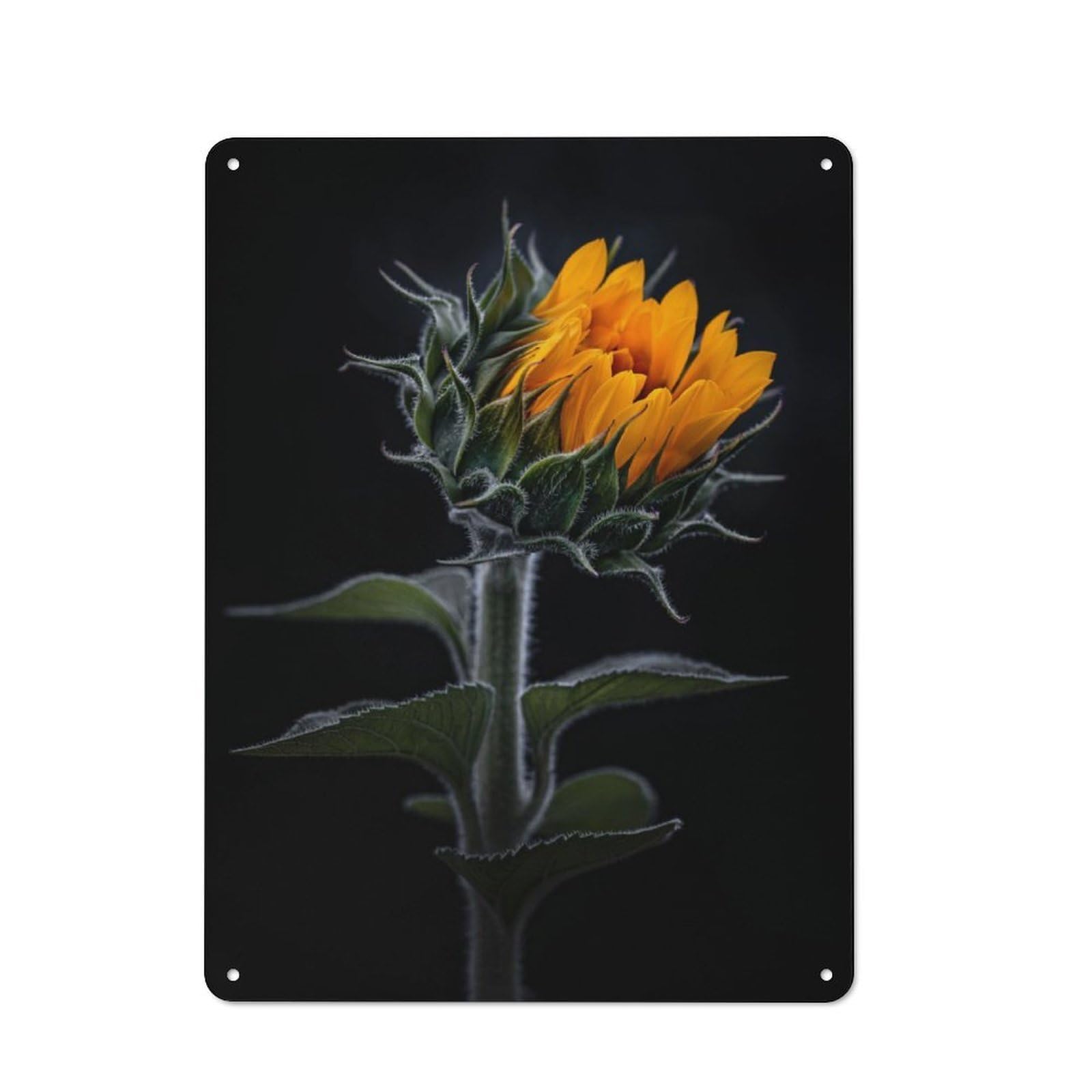 Junmoney Dark Sunflower Vintage Tin Sign 40X30cm With For Man Cave Or Games Room, Suited To Wall Displays In Games Rooms And Man Caves