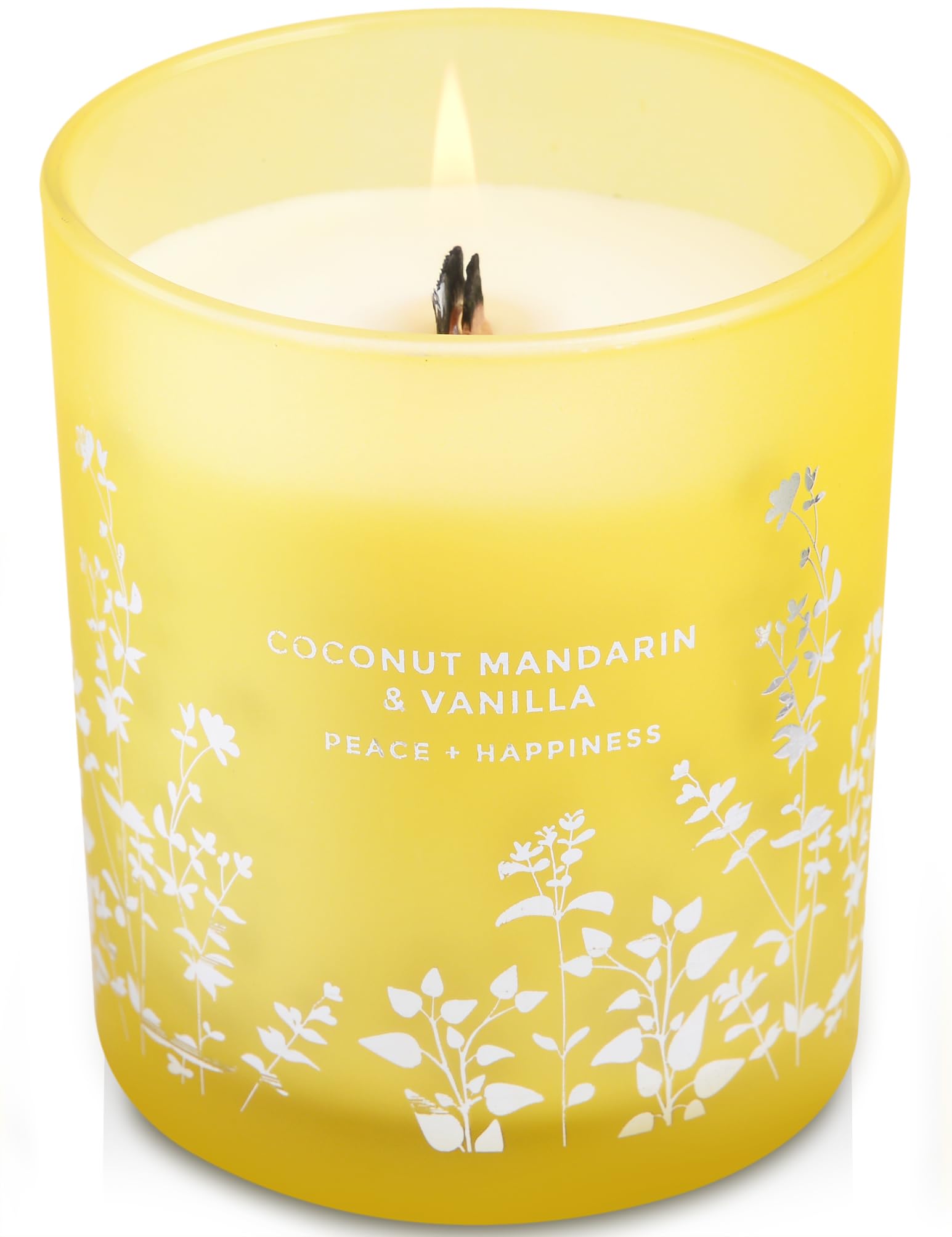 Coconut Mandarin Vanilla Candle | Warm Winter Holiday Scented Candles for Home | Large Clean Burning Candles | Relaxing Aromatherapy Aesthetic Candle for Women & Men | Natural Soy Candles 10.6 Oz