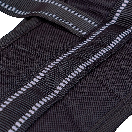 Labra Veterinarian Approved Dog Canine K9 Sling Assist with Chest Strap Adjustable Reflective Straps Support Harness Helps with Loss of Stability Joint Injuries Arthritis ACL Rehabilitation Rehab