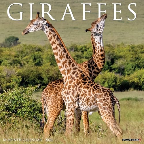 Giraffes 2026 Wall Calendar