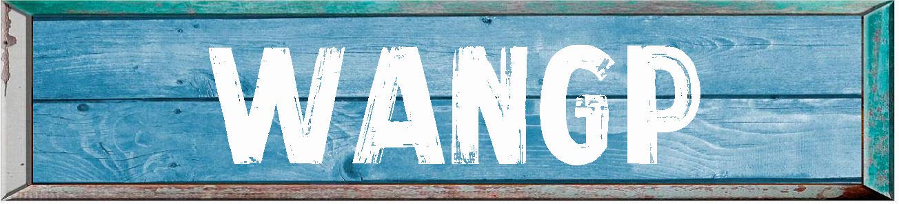 WANGP 8" Rectangle Blue Colored Weathered Painted Look Magnet for use on Any Steel Surface