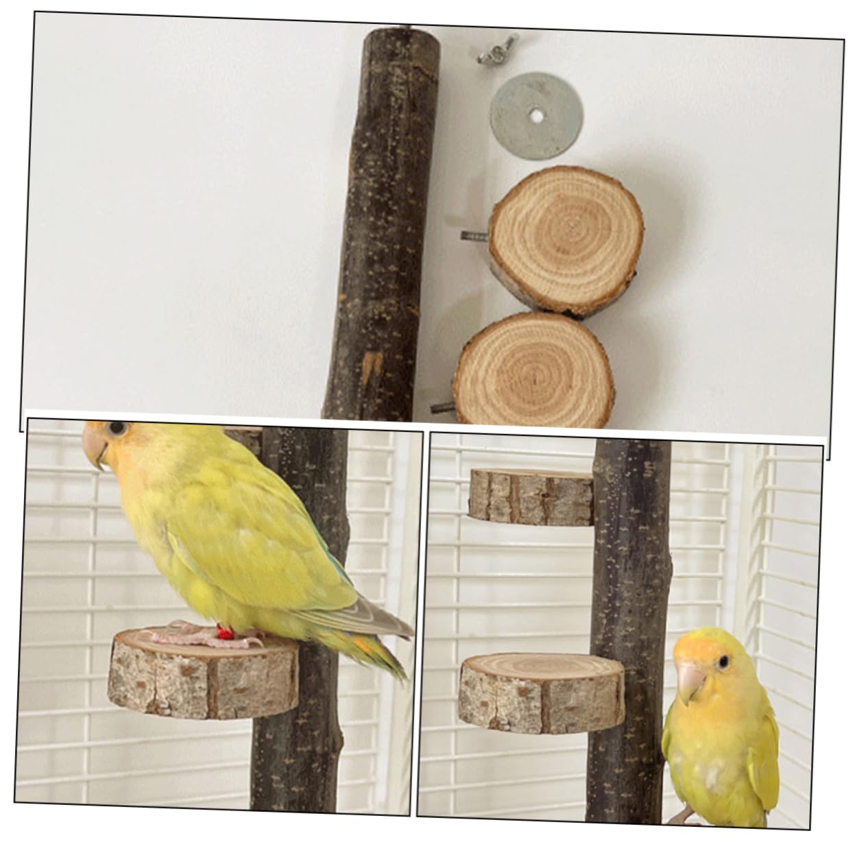 Amazon | SEWOART 木製インコ止まり木 鳥かごアクセサリー 丈夫