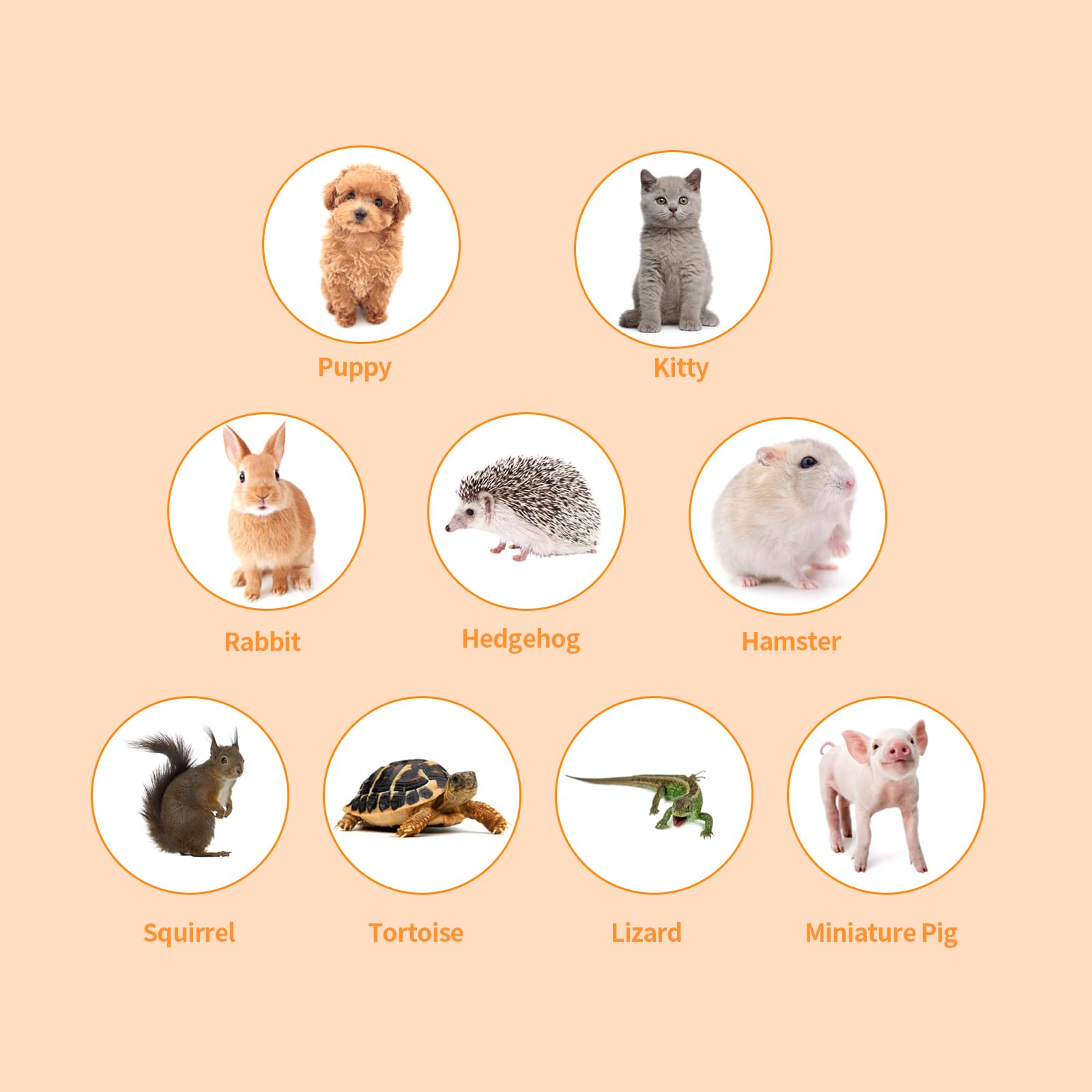 Homegroove Recinzioni per gatti da esterno, 6 in 1, casetta portatile per gatti (tenda per gatti e tunnel circolare per gatti) per gatti e piccoli animali, box interno con borsa per il trasporto