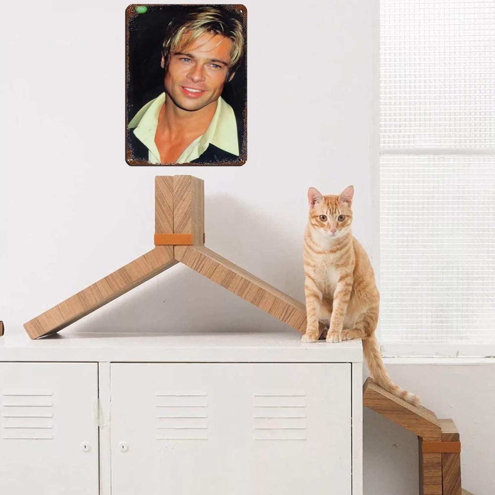 Phil Collins Music Blechschild - Retro Wanddekoration 30x40cm Für Bar & Wohnzimmer