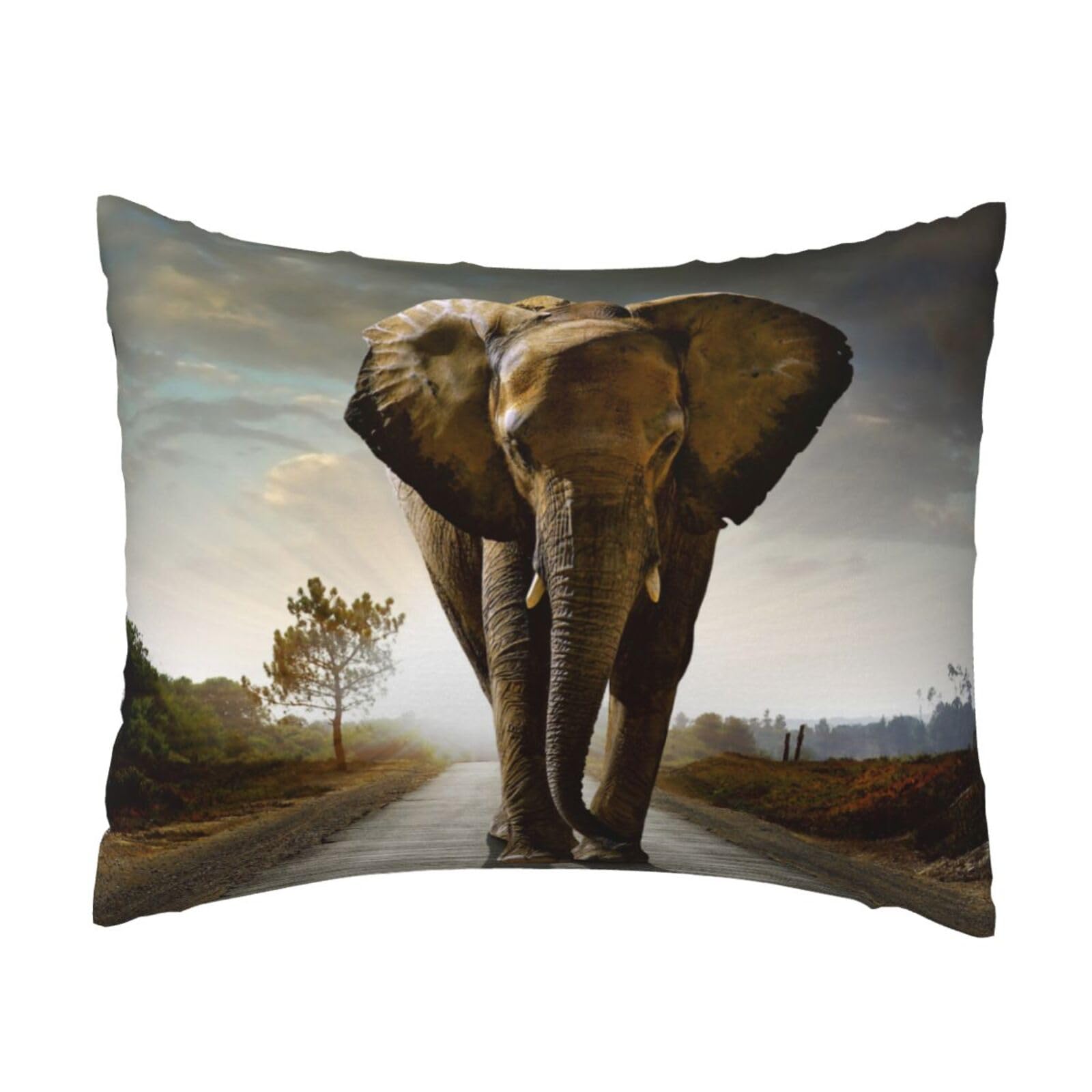 WSHFFILO 3D Elephant printed Pillow Case 20x26in Decorative pillowcase Throw Pillow Cover