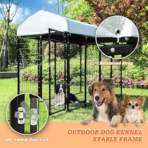 8x4x6 Ft Large Dog Kennel Playpen Outdoor – Heavy Duty Welded Wire Steel Dog Run Enclosure Cage with UV-Resistant Roof and Secure Lock for Chicken, Rabbit, Fox in Yard – Outside Pet House