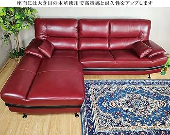 61U88JYlNFL._AC_UF350,