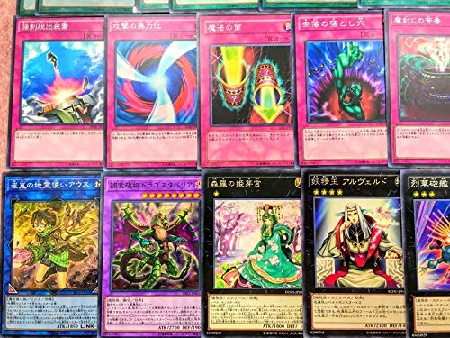 Amazon | 遊戯王○まとめ売り「捕食植物○プレデタープランツ