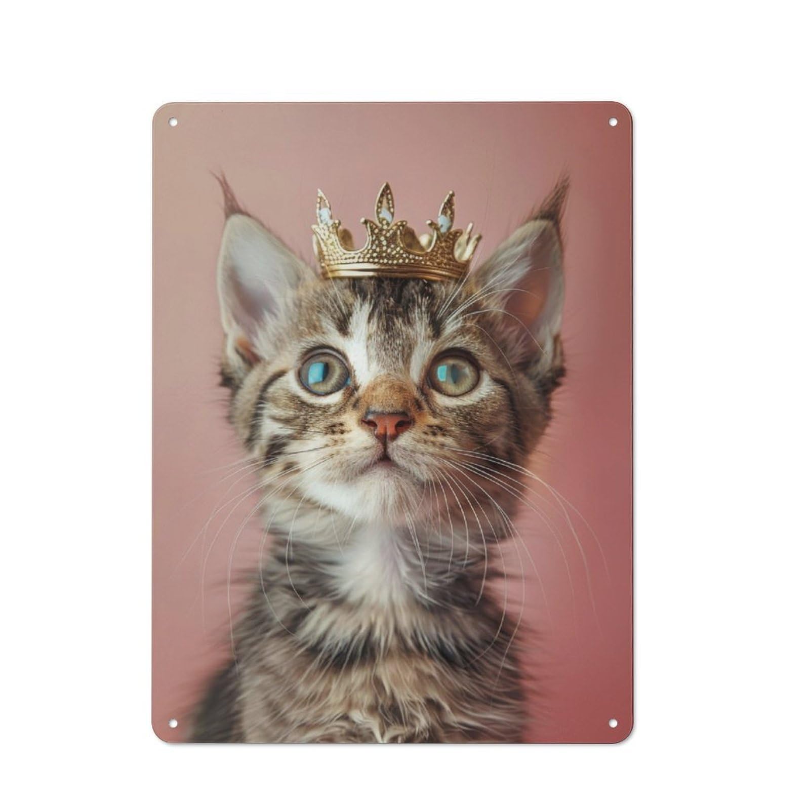 Junmoney Cute Cat Pastel Crown Decorative Metal Plaque 40X30cm, Garage Style Shed Wall Plaque For Workshop, Basement, Shed Or Games Room