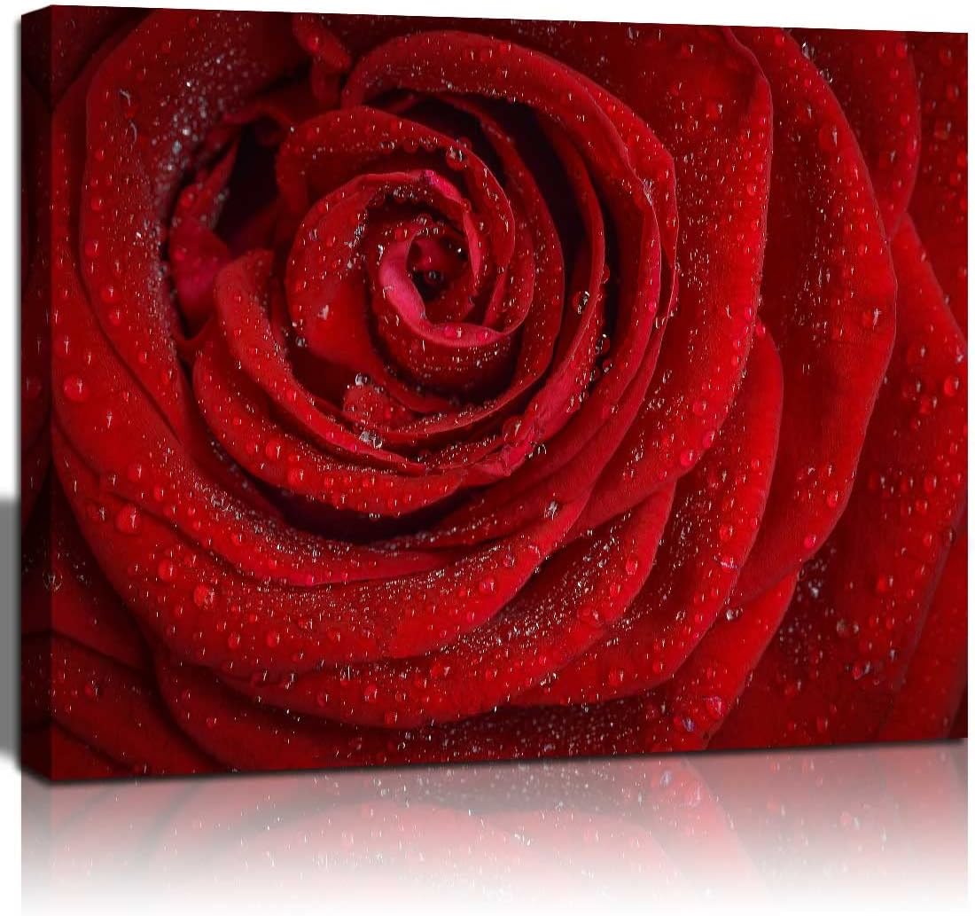 QTESPEIIFlower Canvas Wall Art Dew on the Red Rose Pictures for Girls Room Home Decoration Modern Giclee Landscape Painting 12x16 in 1 Panel Stretched and Framed Ready to Hang
