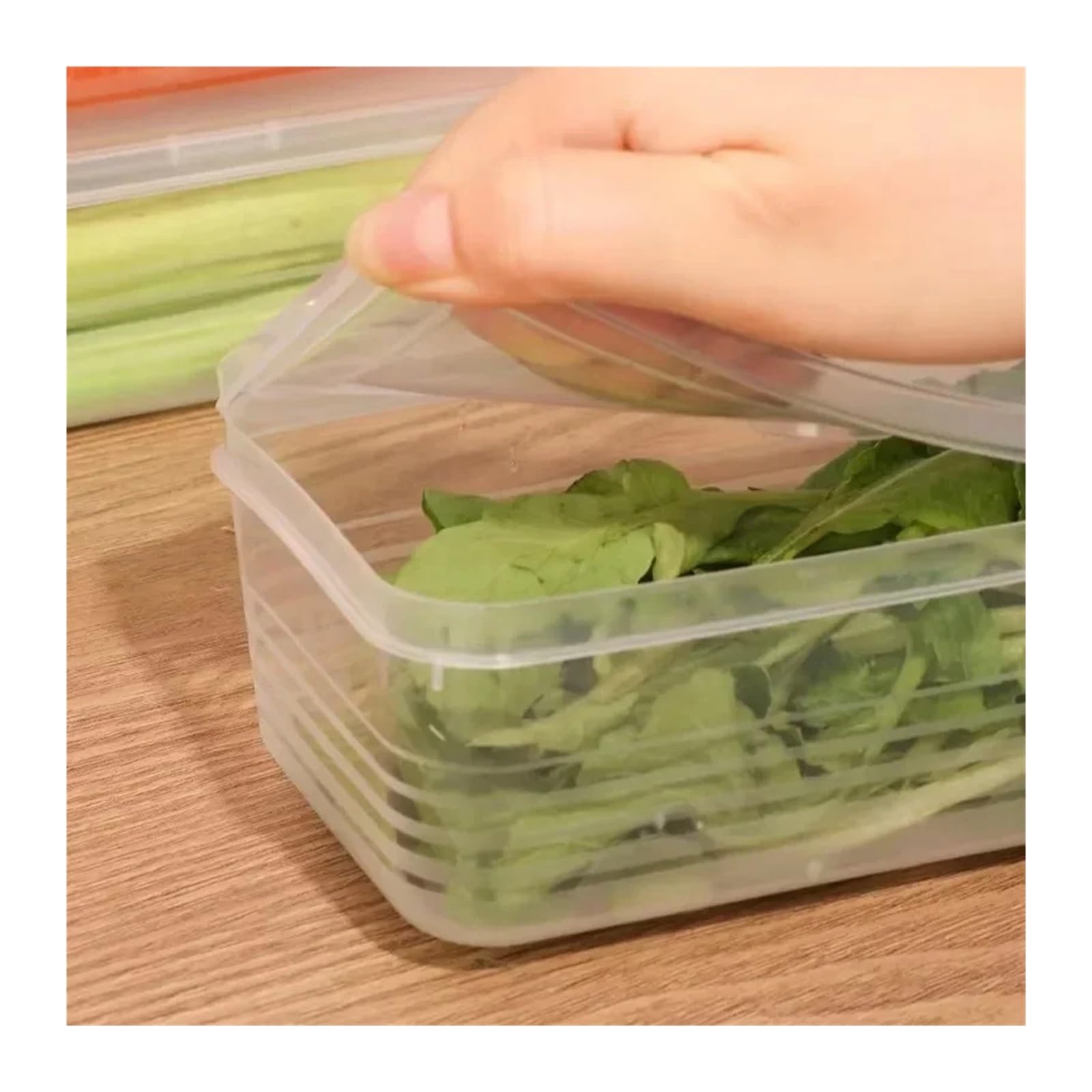 Generico Verdura fresca for scalogno, con coperchio, contenitore | Barattolo frigorifero opzionale for uso domestico da 1 o 5 pezzi for la conservazione delle verdure(5Pcs)