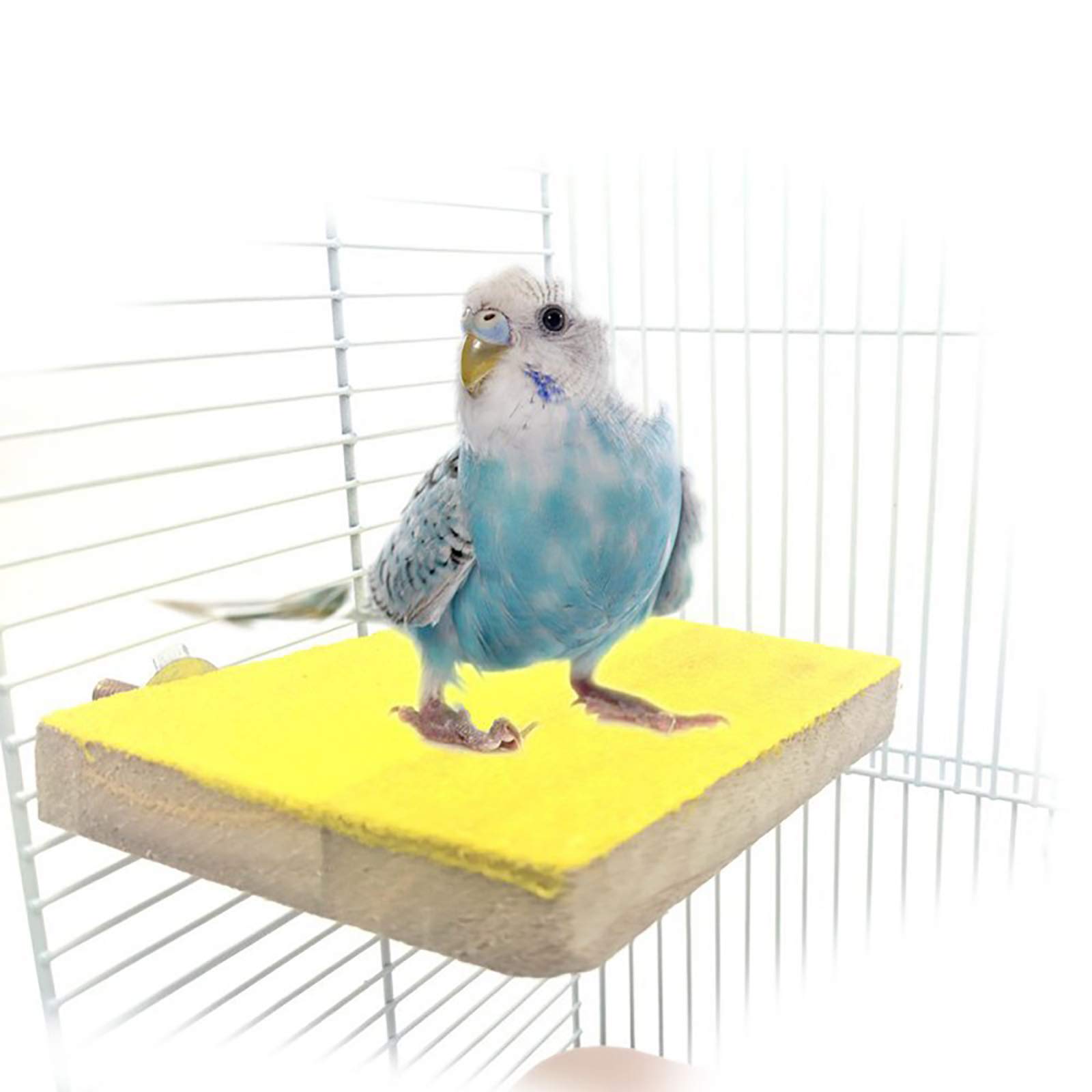 SEIWEI Pet Bird Cage Perches Stand Platform Paw Grinding Clean for Pet Bird Parrot Macaw African Greys Budgies Parakeet Hamster Gerbil Rat Mouse Cage Accessories Stands Exercise Toy 1PCS