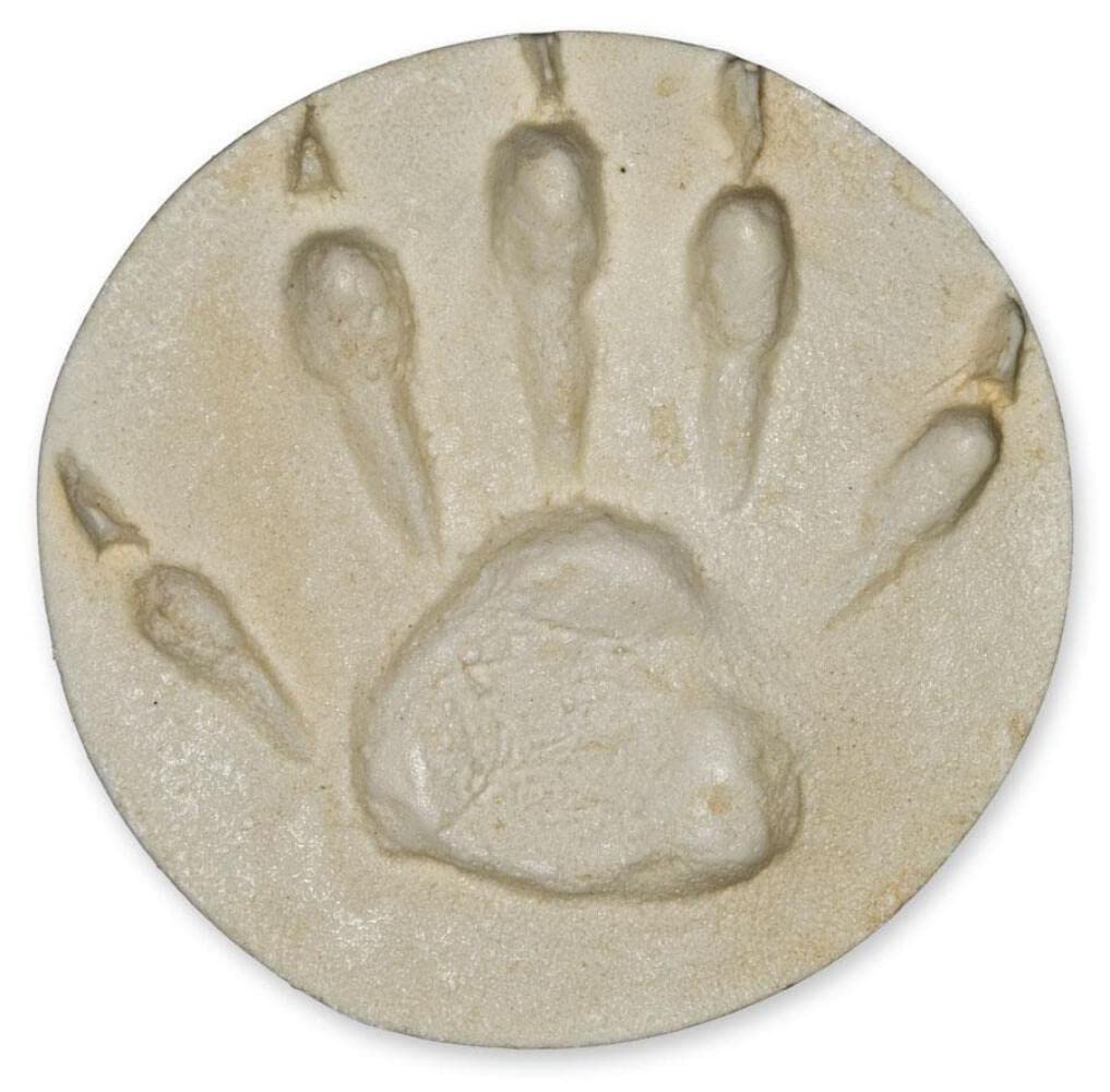 Raccoon Negative Footprint (7.75x7.75cm)
