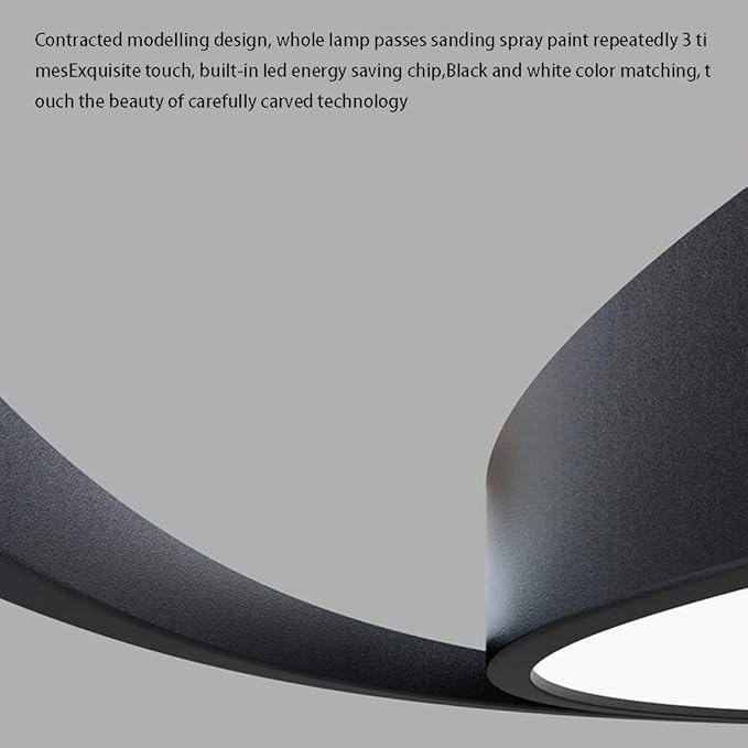 PEPDRO PEPDRO Eenvoudige Moderne Slaapkamer Plafondlamp Sfeer Home Woonkamer Lamp Studie Slaapkamer Lamp Creatieve Persoonlijkheid LED Plafondlamp PEPDRO (Color : Black_60CM) photo 3