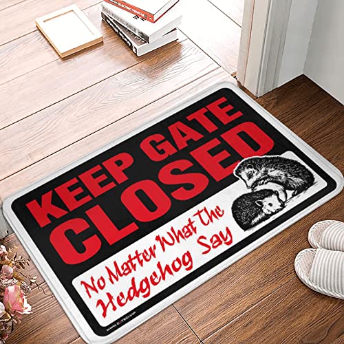 Tapis entrée gamer cadeau idéal déco rétro hérisson 50x80