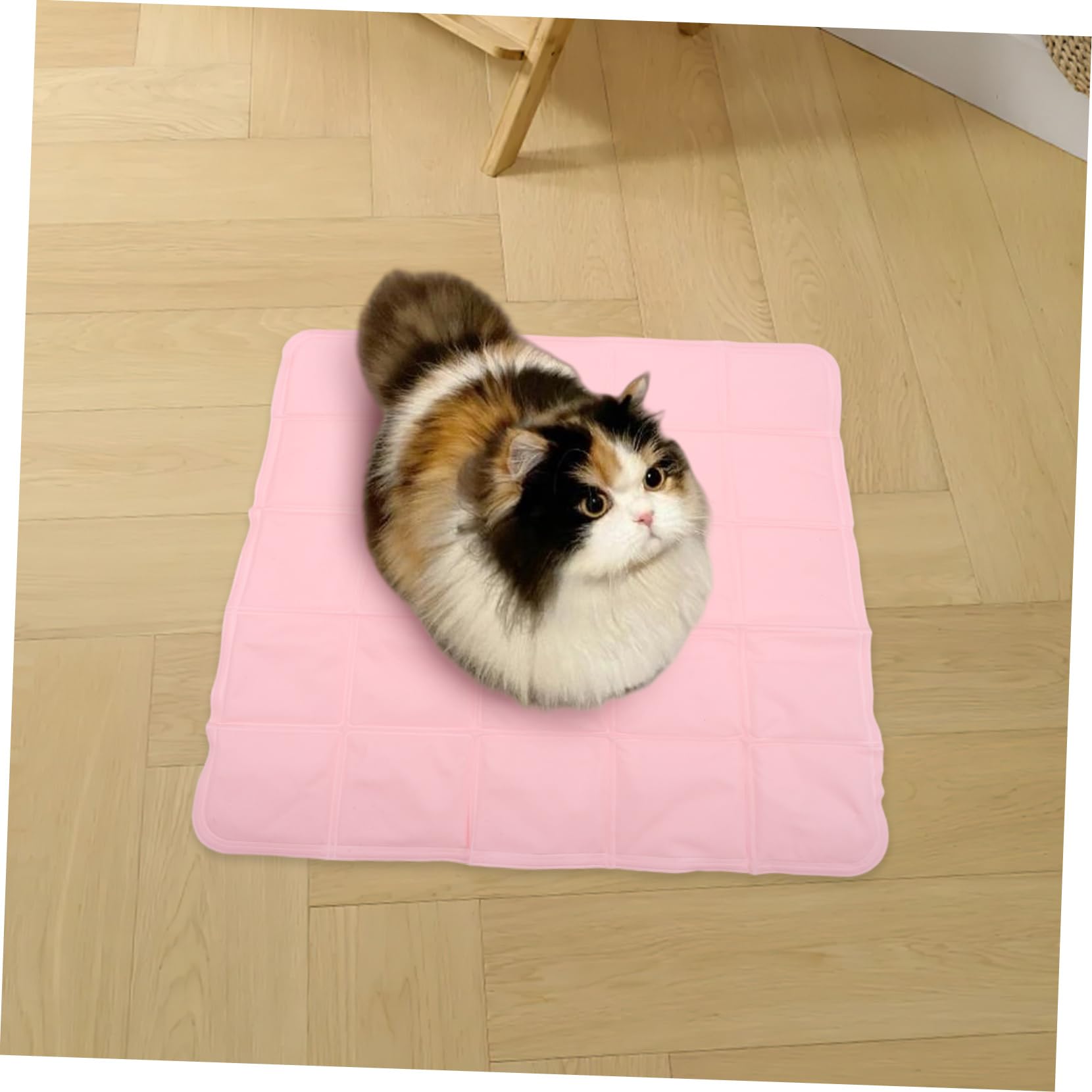 ibasenice Tapis De Glace pour Animaux De Compagnie Coussin De Refroidissement De Chien Tapis De Refroidissement pour Chenil pour Chien De ssement Portable Rose PVC