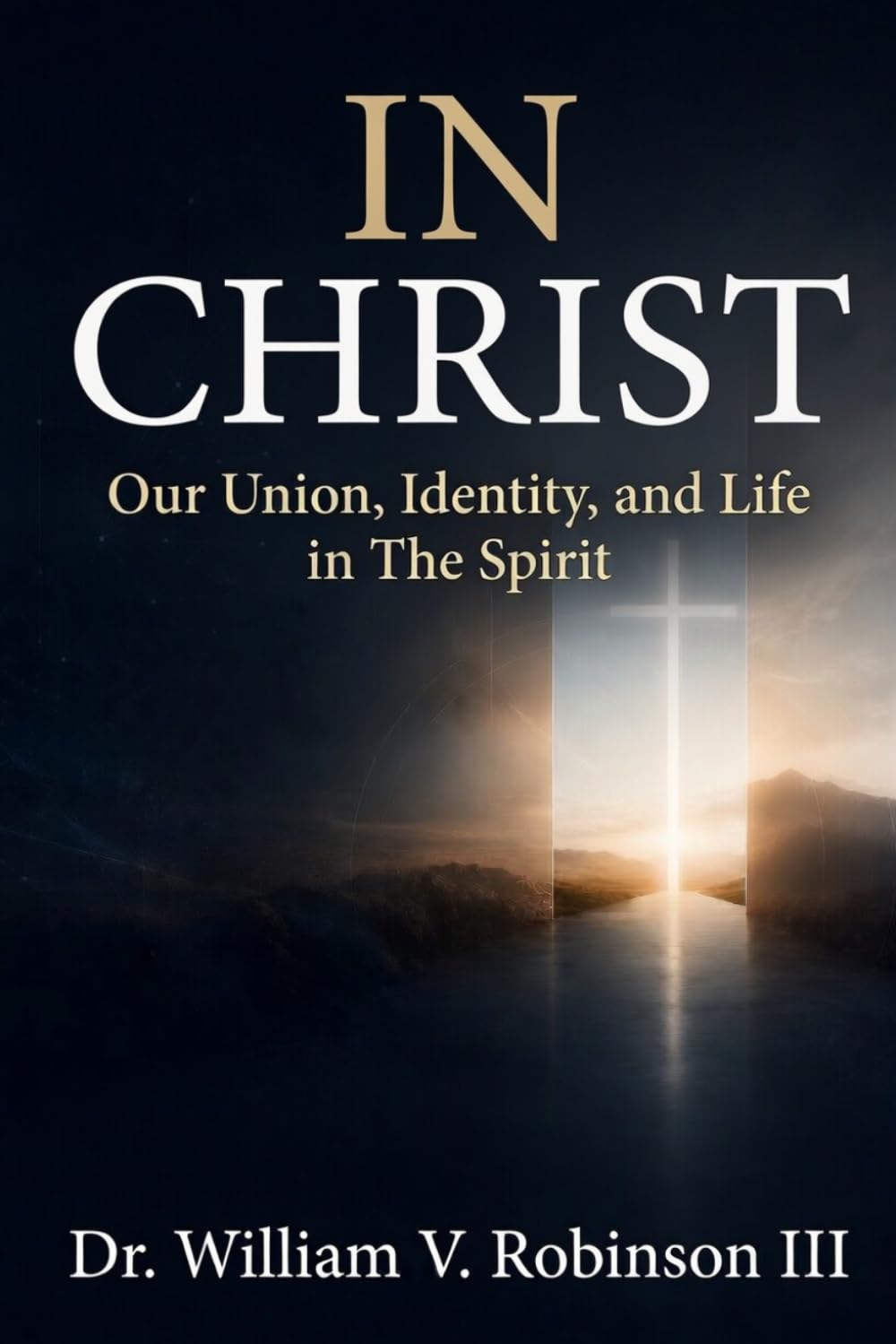 IN CHRIST: Our Union, Identity, and Life in The Spirit: 8 (Identity & Transformation)
