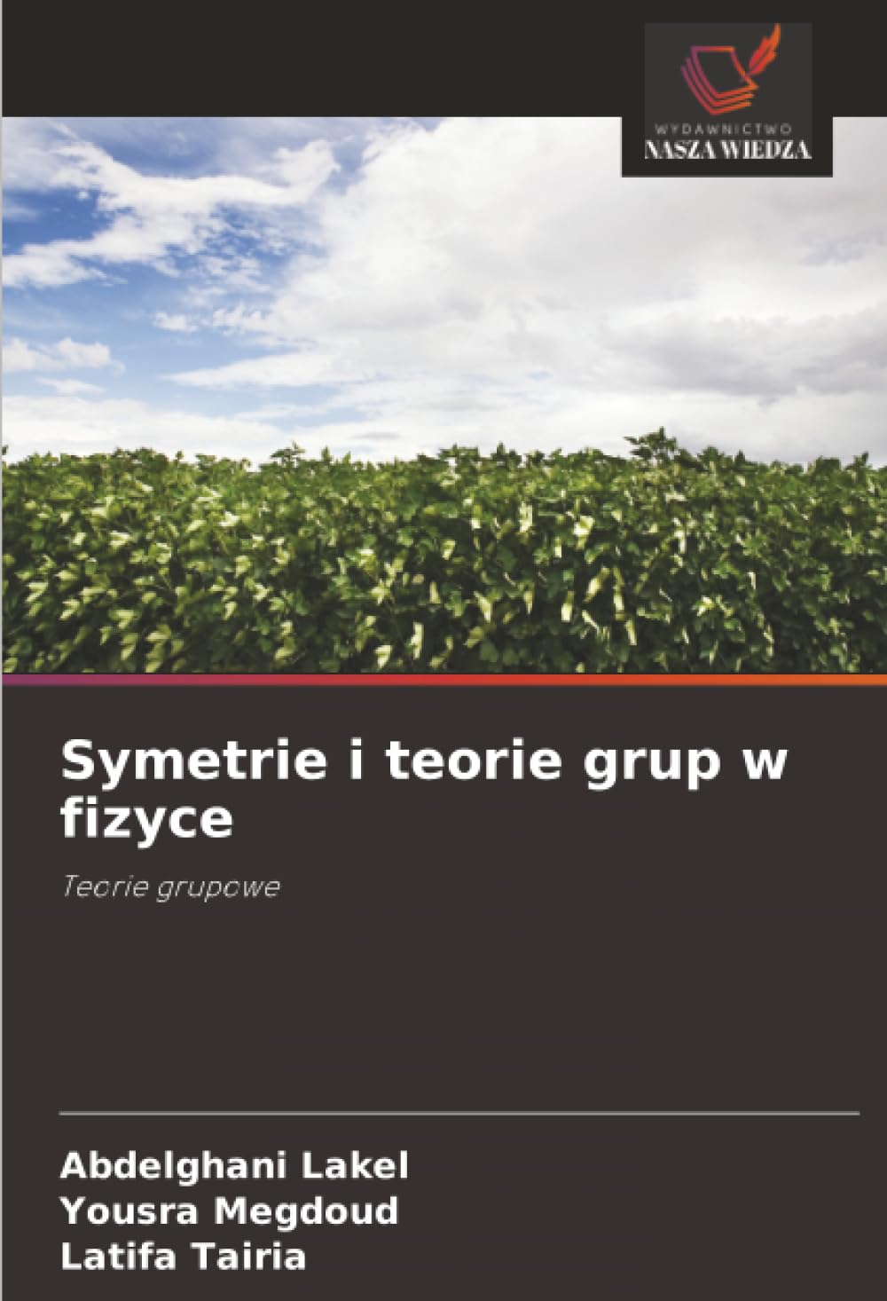 Symetrie i teorie grup w fizyce: Teorie grupowe
