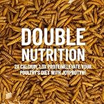 5LB Dried Black Soldier Fly Larvae for Chicken– 85X More Calcium Grubs Than Mealworms for Strong Eggshells & Healthy Growth - High Protein for Chickens, Birds, Ducks, Geese & Pets - Image 3