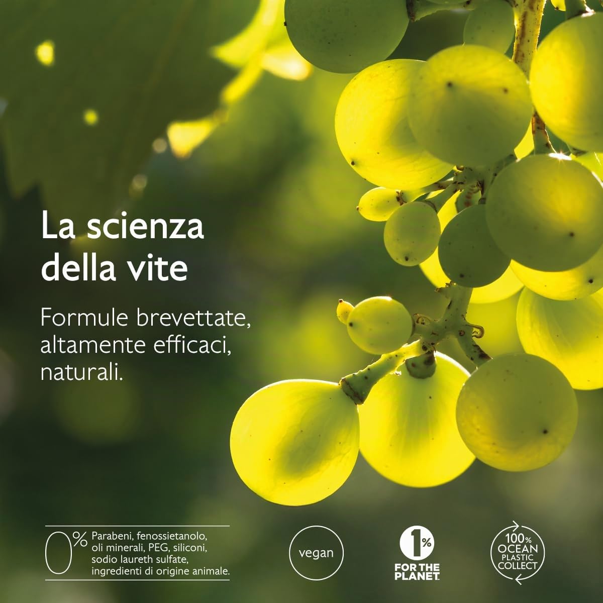 Caudalie Premier Cru Il Siero - 30 mL