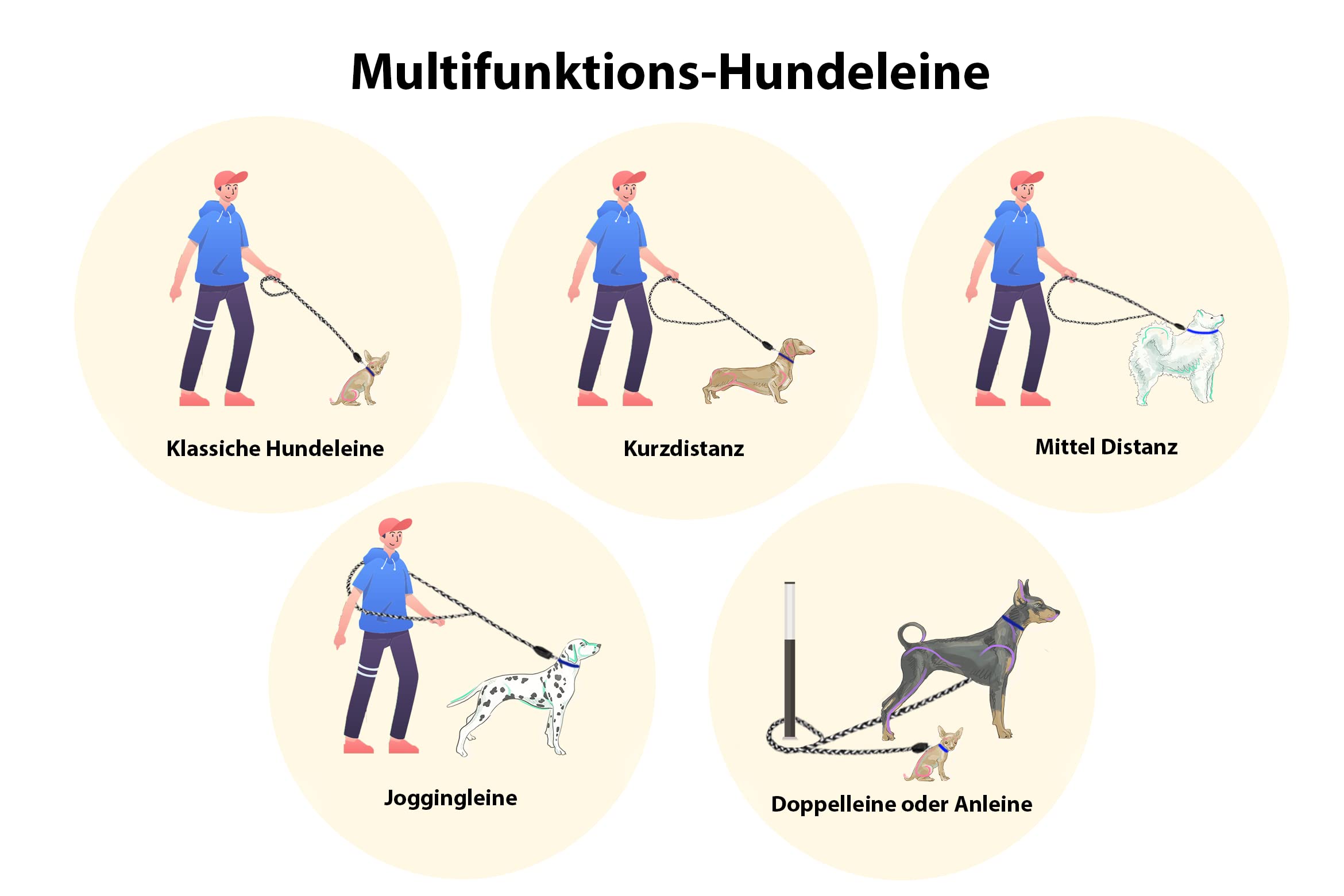 Hundeleine Mit Reflektierenden Streifen | 2.5m Verstellbar | 2 Karabiner | Für Jogging & Spazieren