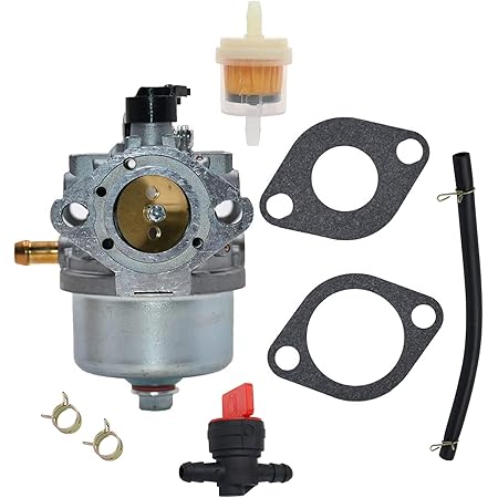 kawasaki bajaj 4s champion carburetor