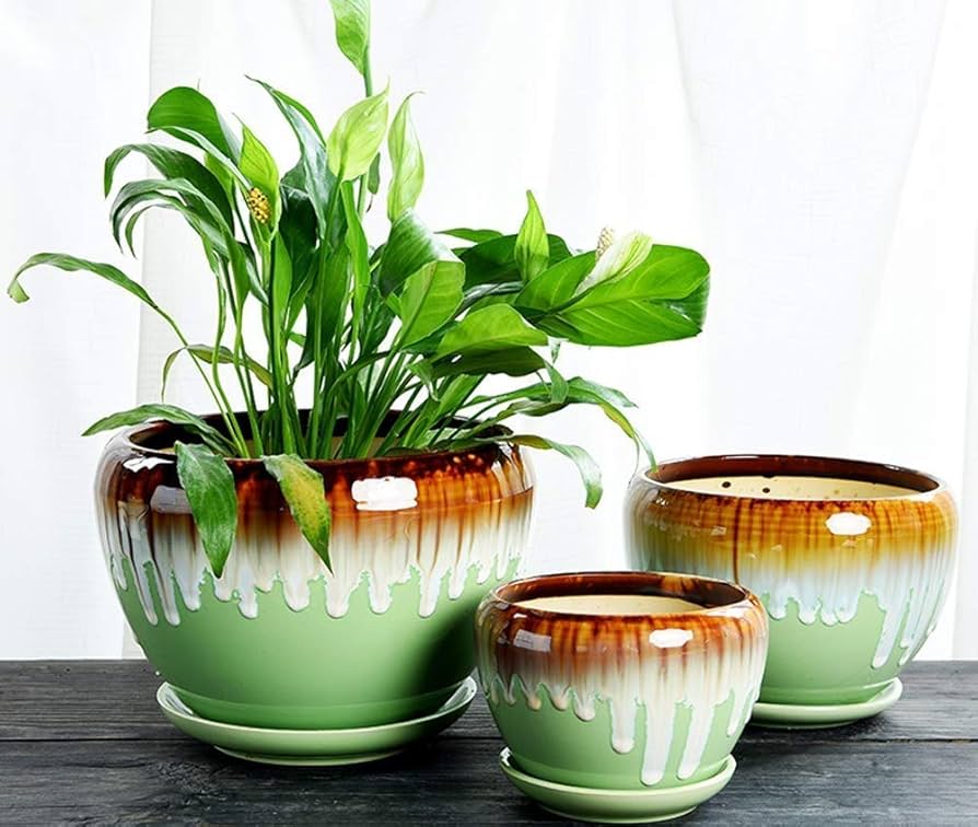 植木鉢 緑の植物 セラミックトレイ マルチミートポット 屋内