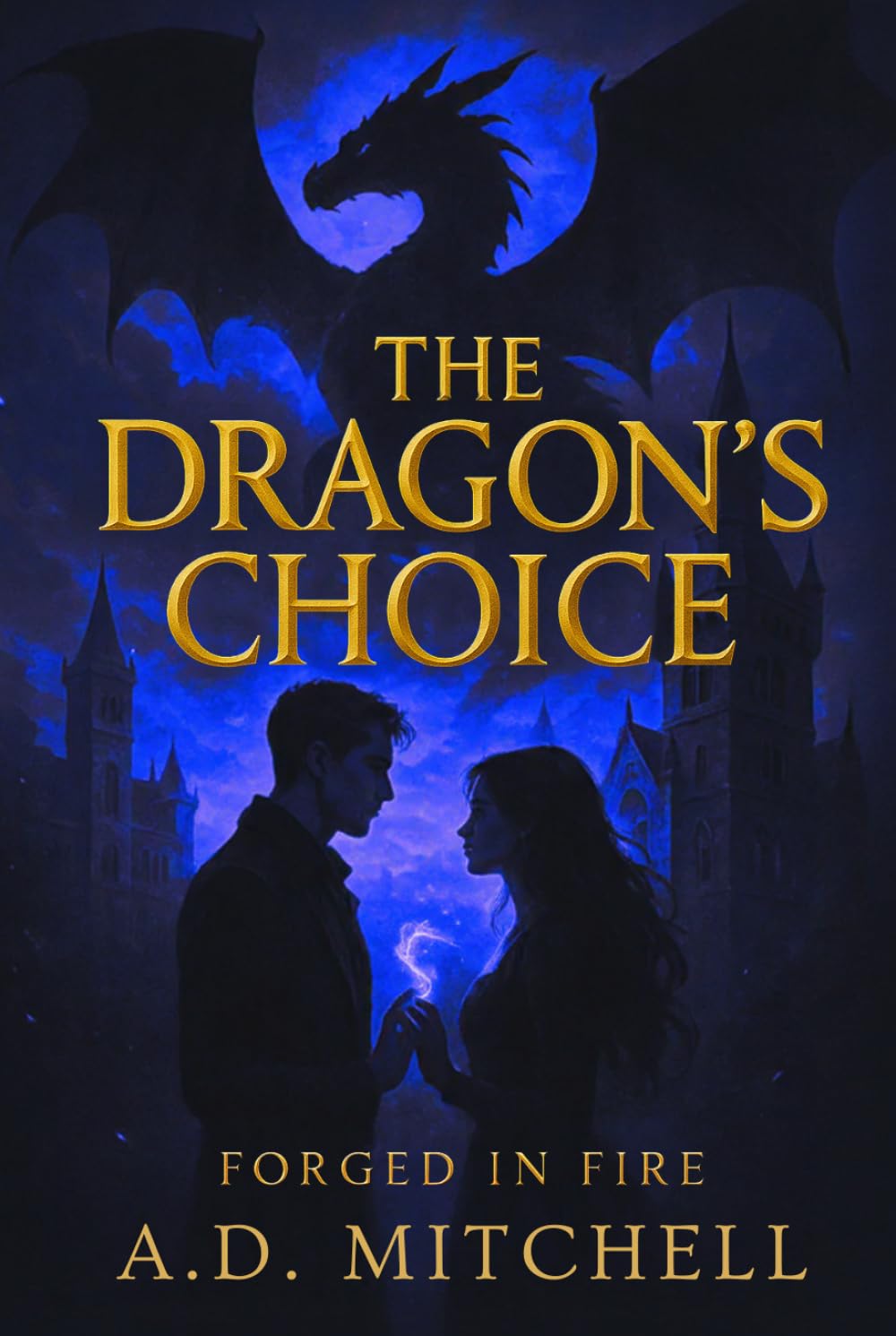 The Dragon's Choice: A Dragon Rider Academy Romance (Forged in Fire Book 2)
