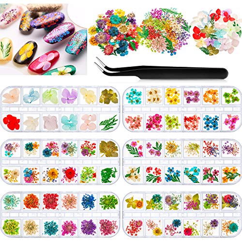 262 Pieces 3D Nail Dried Flowers Sticker Dry Flower Nail Art Decoration Mini Flowers Nail Art Supplies Leaves Flowers Gypsophila Nail Stickers with Tweezers for Tips Manicure Decoration